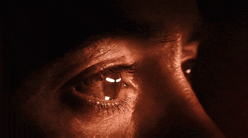 Step 2: The Download